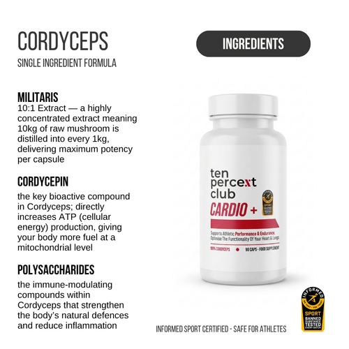 CARDIO+ CORDYCEPS